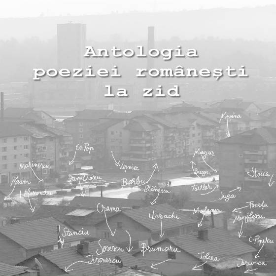 2016_matius_blog_articolul_cu_titlul_cel_mai_important_04