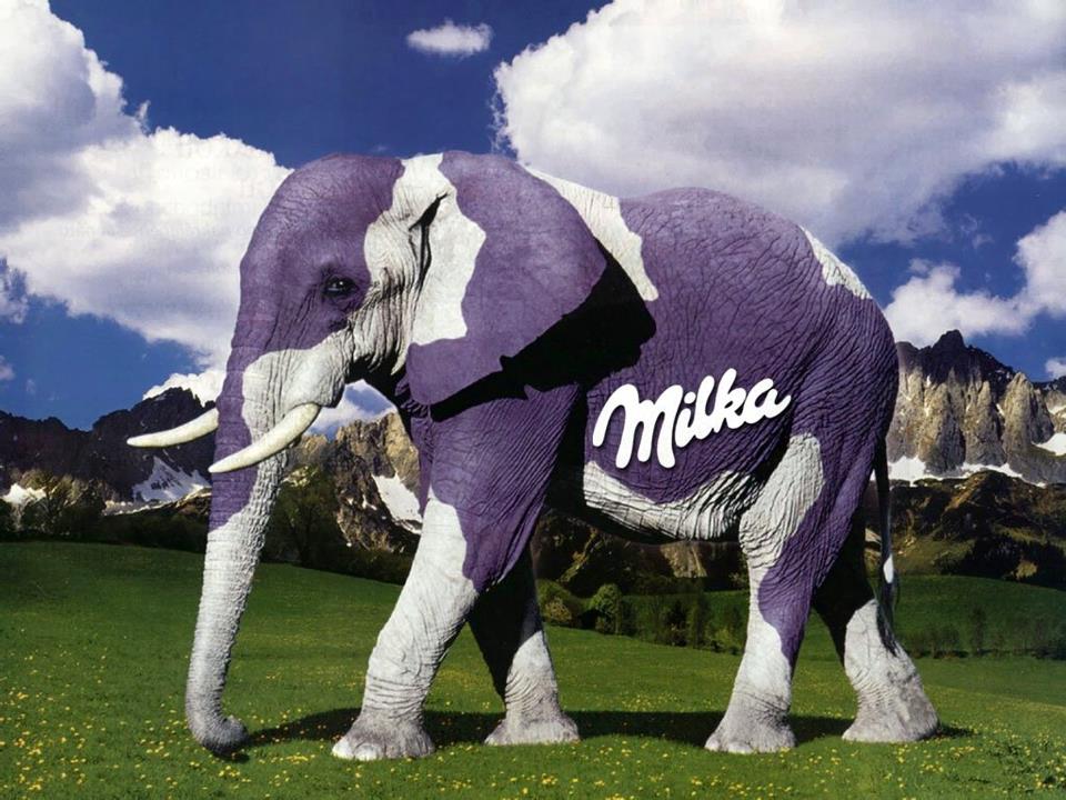 2016_matius_blog_for_free_pi_digiaba_04