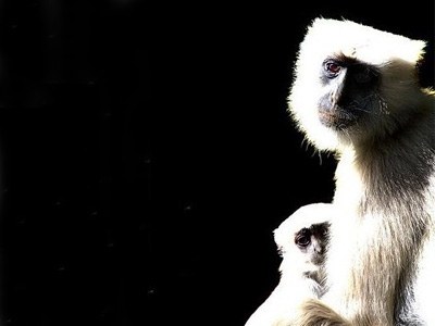 2016_matius_blog_hibernare_de_vara_02