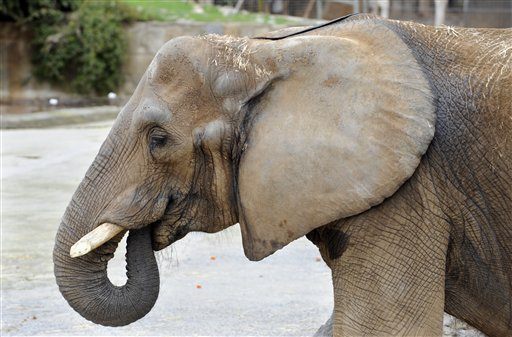 2016_matius_blog_hibernare_de_vara_06