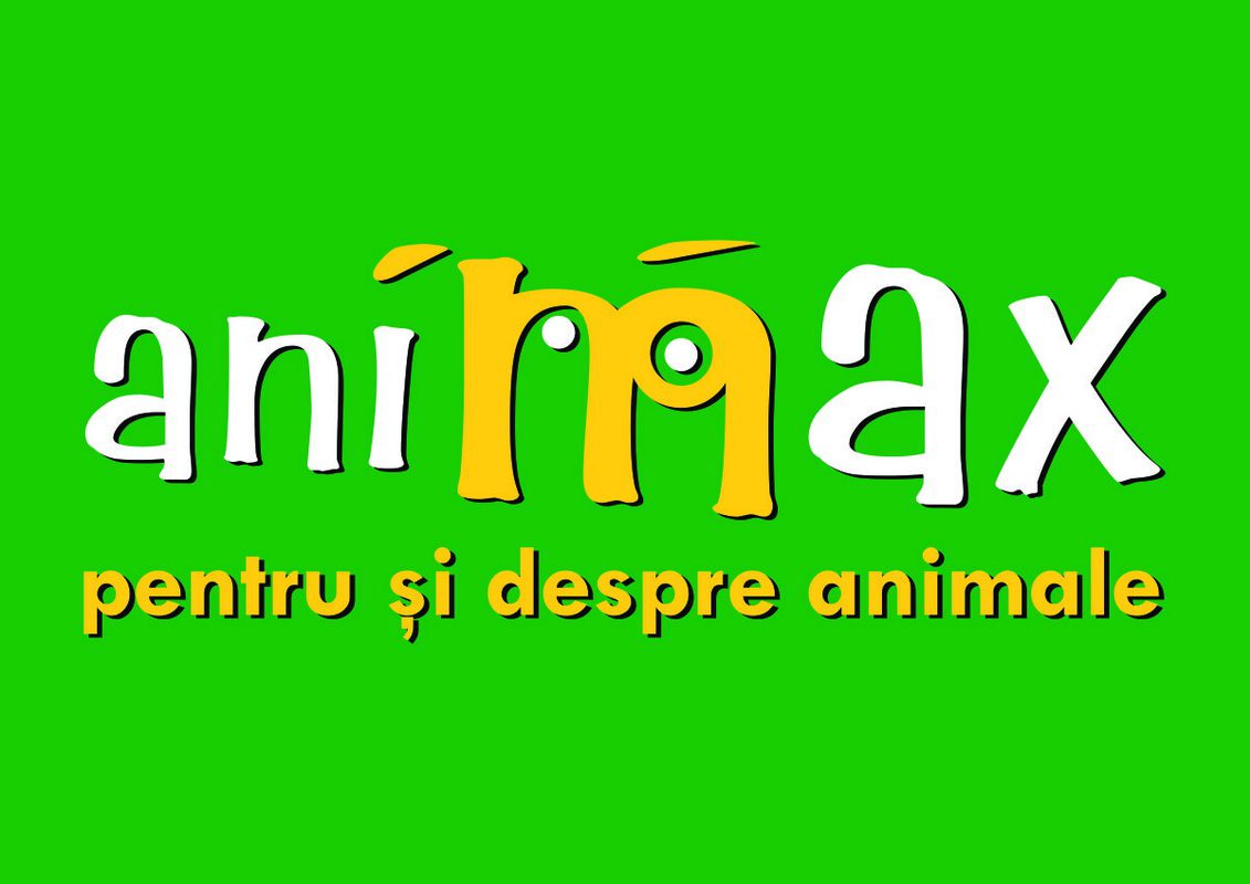 2016_matius_blog_matius_lanseaza_concurs_11