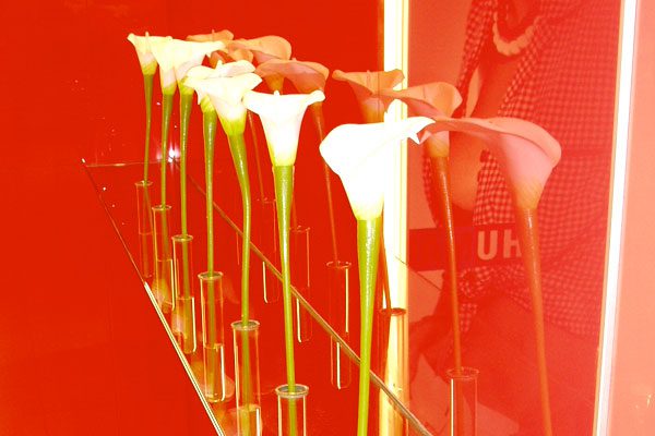 2016_matius_blog_nu_exist_magazin_perfect_exista_carrefour_14