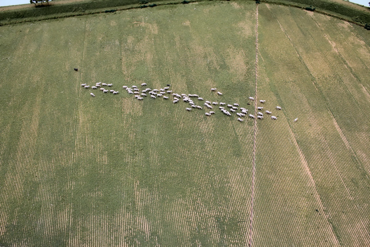 2016_matius_blog_o_lume_perfecta_12